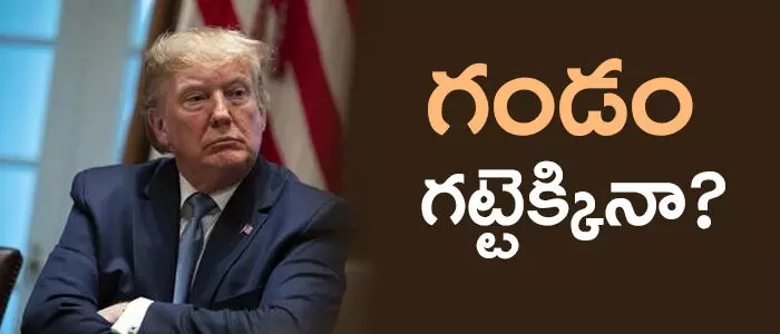 డొనాల్డ్ ట్రంప్