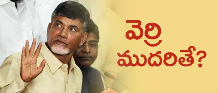 వెర్రి ముదిరితే...? వెర్రి ముదిరితే...?