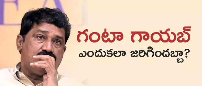 గంటా శ్రీనివాసరావు