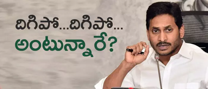 టీడీపీ టీడీపీ