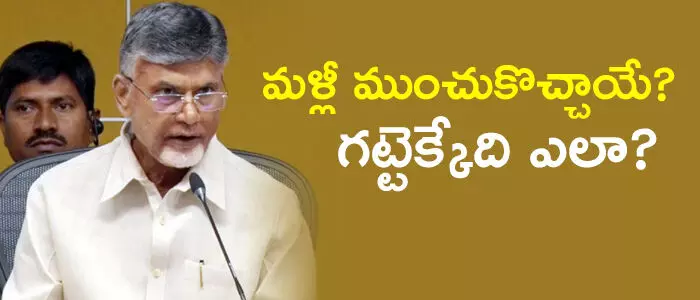 టీడీపీ టీడీపీ