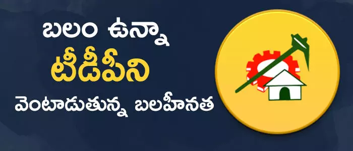 టీడీపీ టీడీపీ