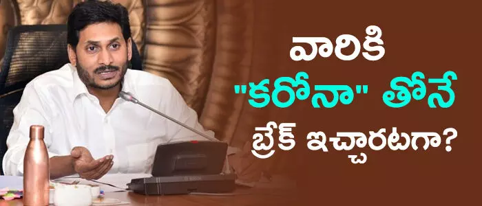 వైసీపీ వైసీపీ