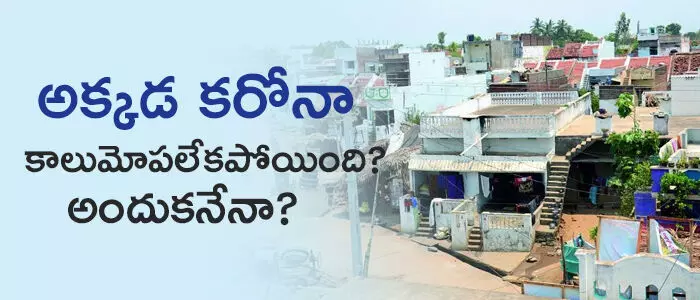 కరోనా కరోనా