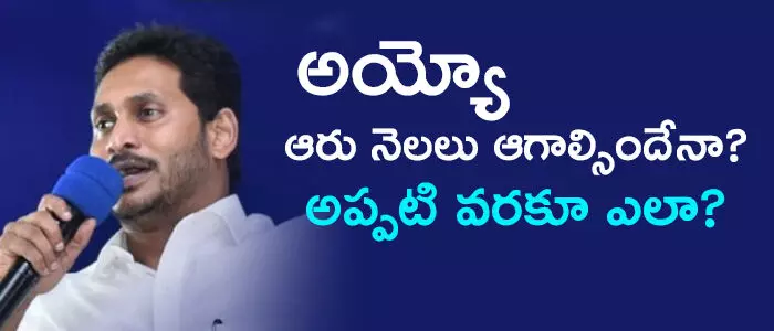 స్థానిక సంస్థల ఎన్నికలు