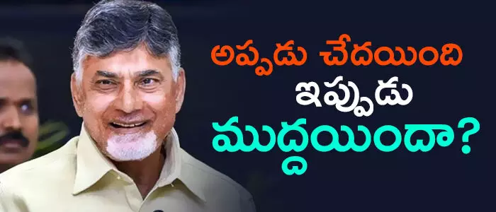 టీడీపీ టీడీపీ