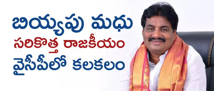 బియ్యపు మ‌దుసూద‌న‌రెడ్డి