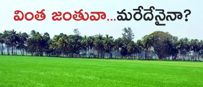 తూర్పు గోదావరి తూర్పు గోదావరి