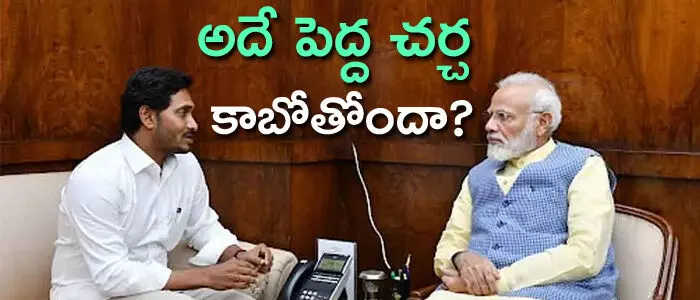 కోర్టులు