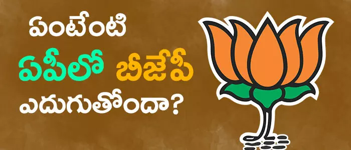 . బీజేపీ