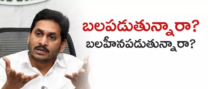 వైసీపీ వైసీపీ