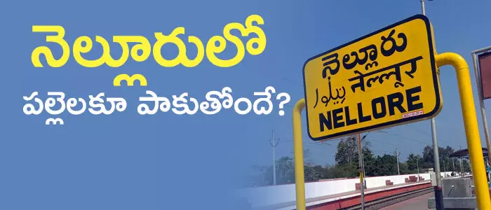 నెల్లూరు