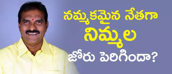 నిమ్మల రామానాయుడు