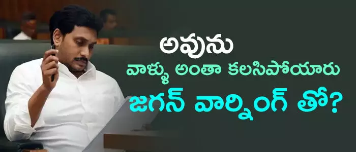 వైసీపీ వైసీపీ