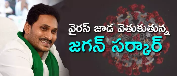 కరోనా వైరస్ కరోనా వైరస్