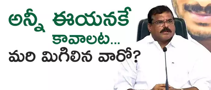 బొత్స సత్యనారాయణ