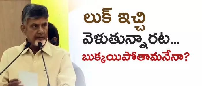 టీడీపీ టీడీపీ