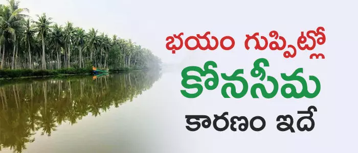 తూర్పు గోదావరి