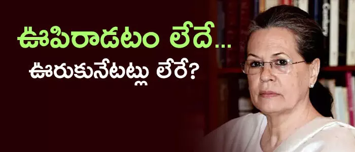 కాంగ్రెస్