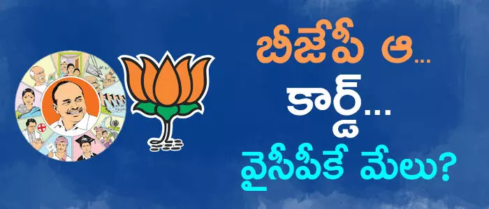 బీజేపీ బీజేపీ