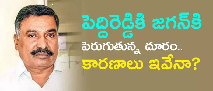 పెద్దిరెడ్డి