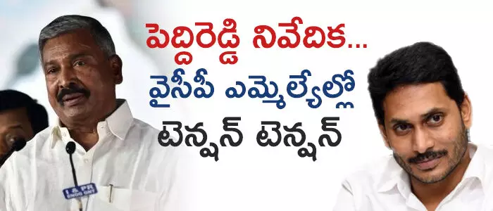 పెద్దిరెడ్డి