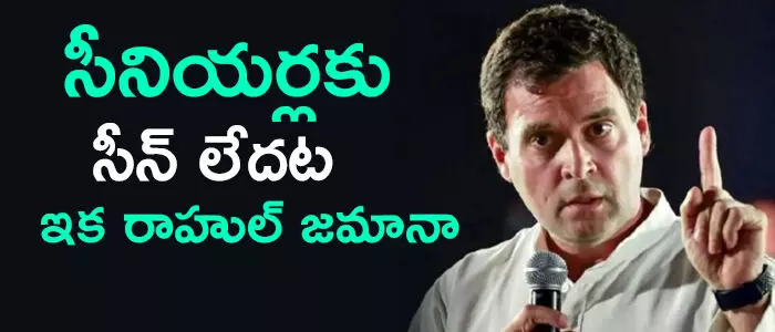 రాహుల్ గాంధీ రాహుల్ గాంధీ