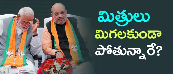 బీజేపీ బీజేపీ