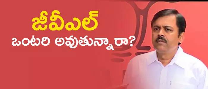 జీవీఎల్ న‌ర‌సింహారావు