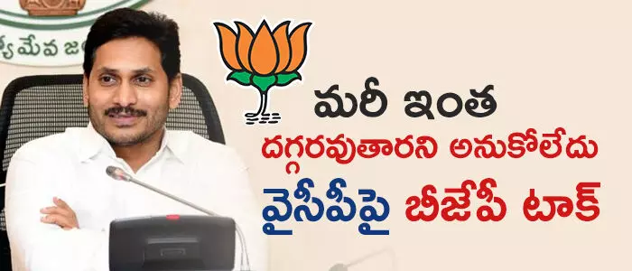 బీజేపీ బీజేపీ