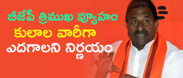 బీజేపీ బీజేపీ