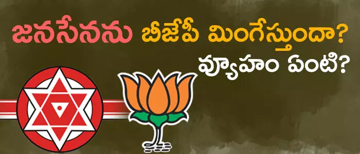 బీజేపీ బీజేపీ