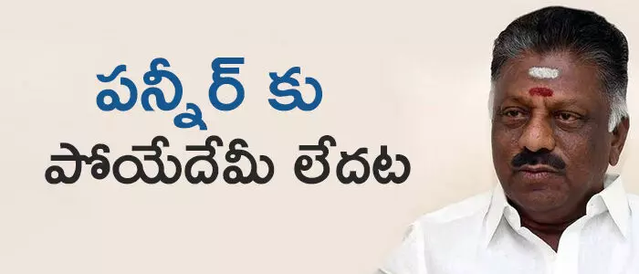 పన్నీర్ సెల్వం