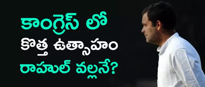 రాహుల్ గాంధీ రాహుల్ గాంధీ