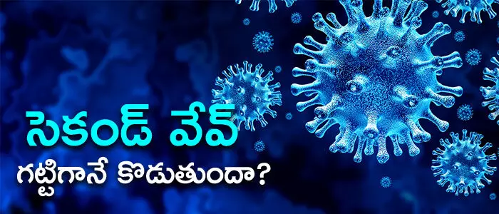 కరోనా వైరస్ కరోనా వైరస్