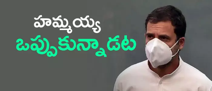 రాహుల్ గాంధీ రాహుల్ గాంధీ