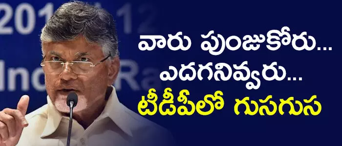 టీడీపీ టీడీపీ