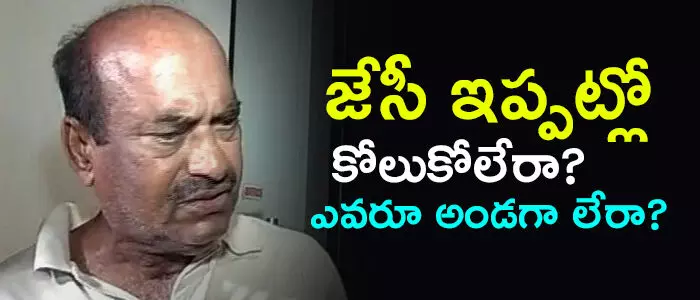 జేసీ దివాకర్ రెడ్డి జేసీ దివాకర్ రెడ్డి