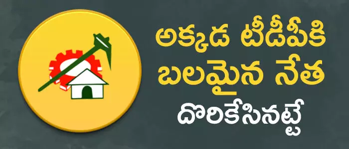 టీడీపీ టీడీపీ