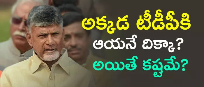 టీడీపీ టీడీపీ