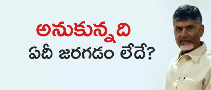 టీడీపీ టీడీపీ
