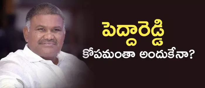 పెద్దిరెడ్డి పెద్దిరెడ్డి