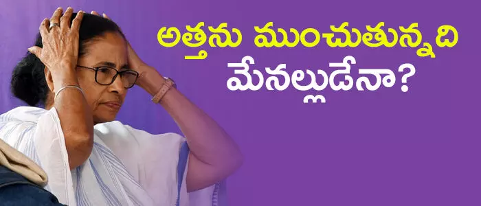 మమతా బెనర్జీ