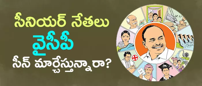 వైసీపీ వైసీపీ