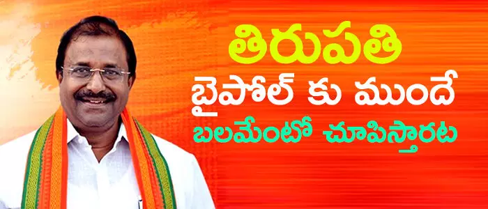 బీజేపీ బీజేపీ