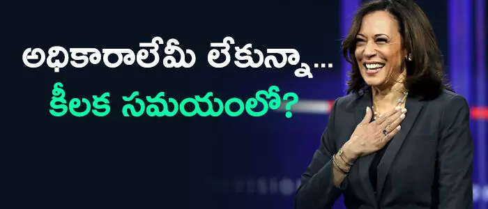 ఉపాధ్యక్షుడు ఉపాధ్యక్షుడు
