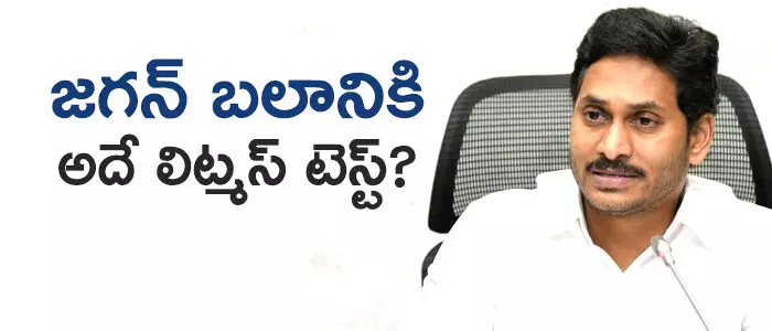 వైసీపీ వైసీపీ