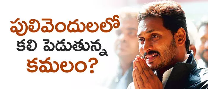 పులివెందుల