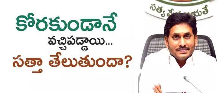 వైసీపీ వైసీపీ