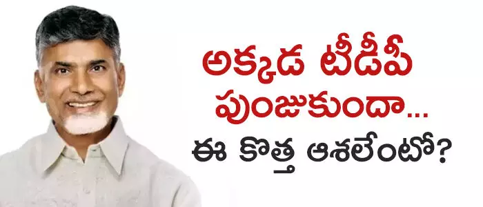 టీడీపీ టీడీపీ